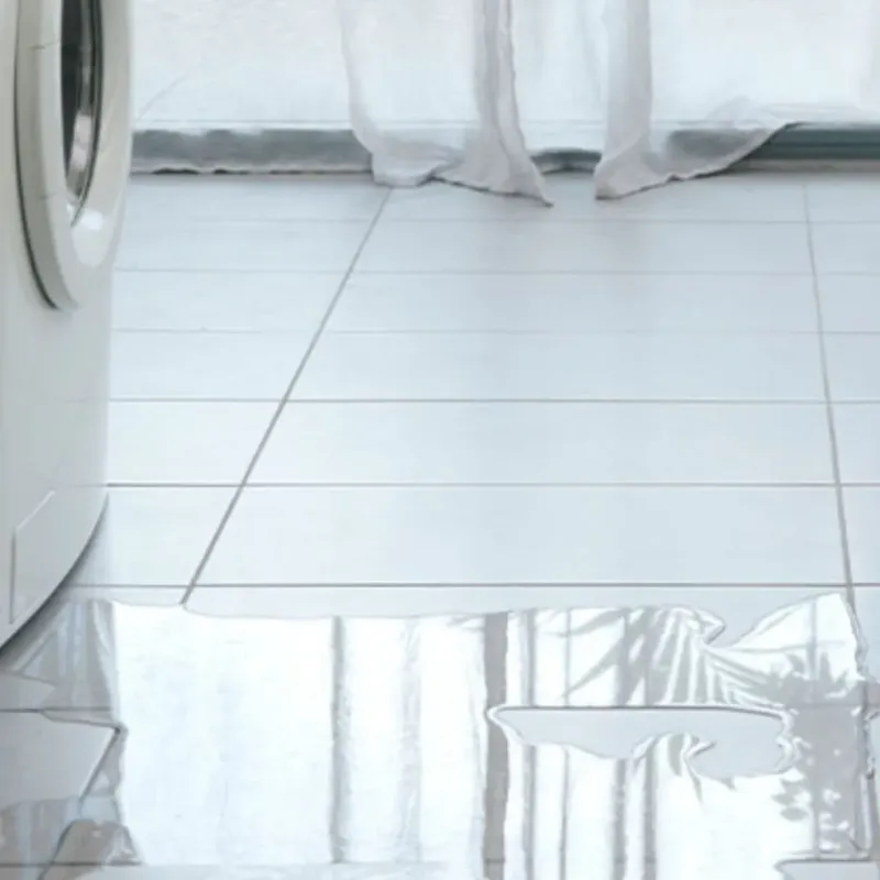 Appliance Leak Cleanup in Placer County, CA