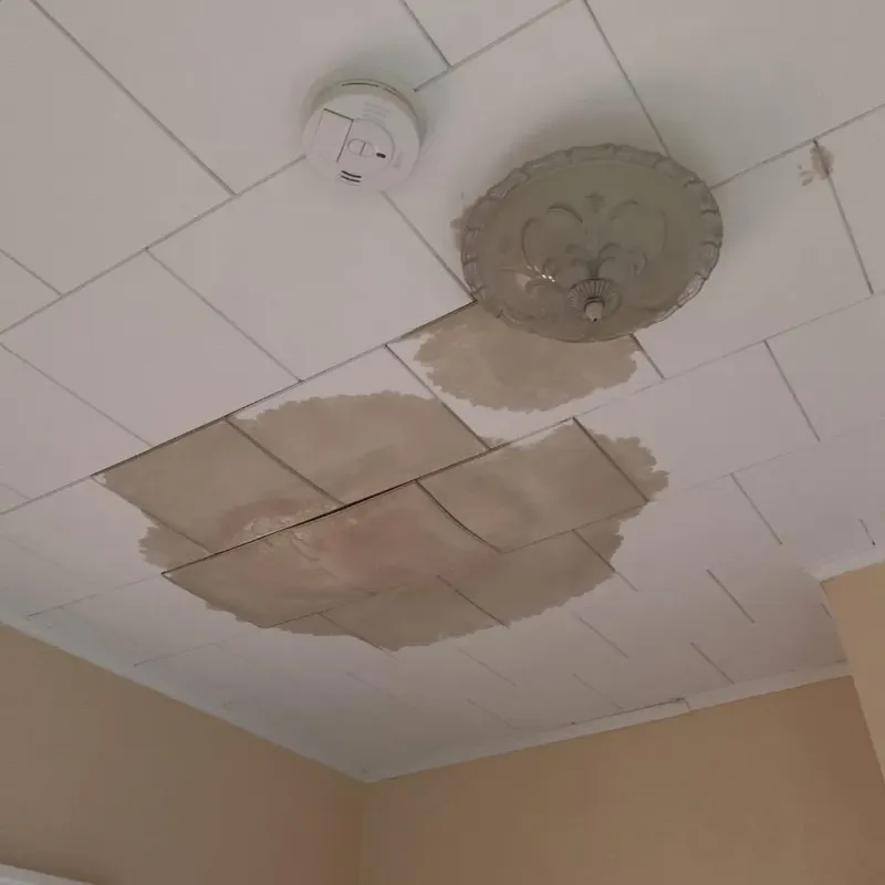 Ceiling Water Damage Repair in Placer County, CA